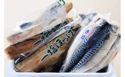 
イチヨ水産　汐ホッケ・汐サバセット[7519368]
