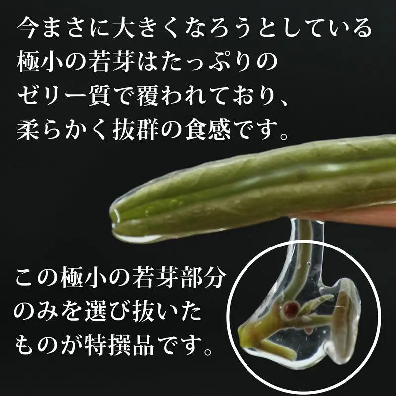 特選じゅんさい水煮瓶詰め 3本