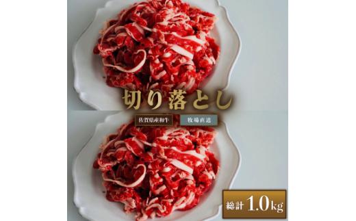 【牧場直送】佐賀産和牛 切り落とし 1000g：B160-012