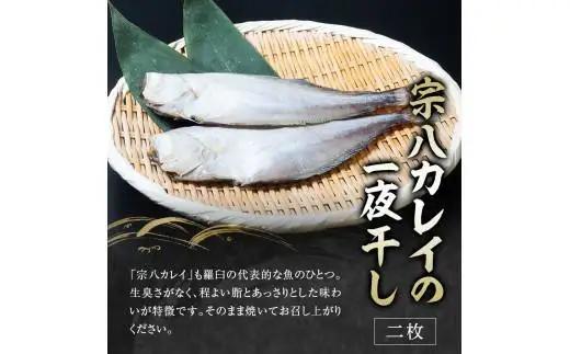 ５回定期便！羅臼の魚 おすすめセット(1)　8点盛り　｜定期便　北海道