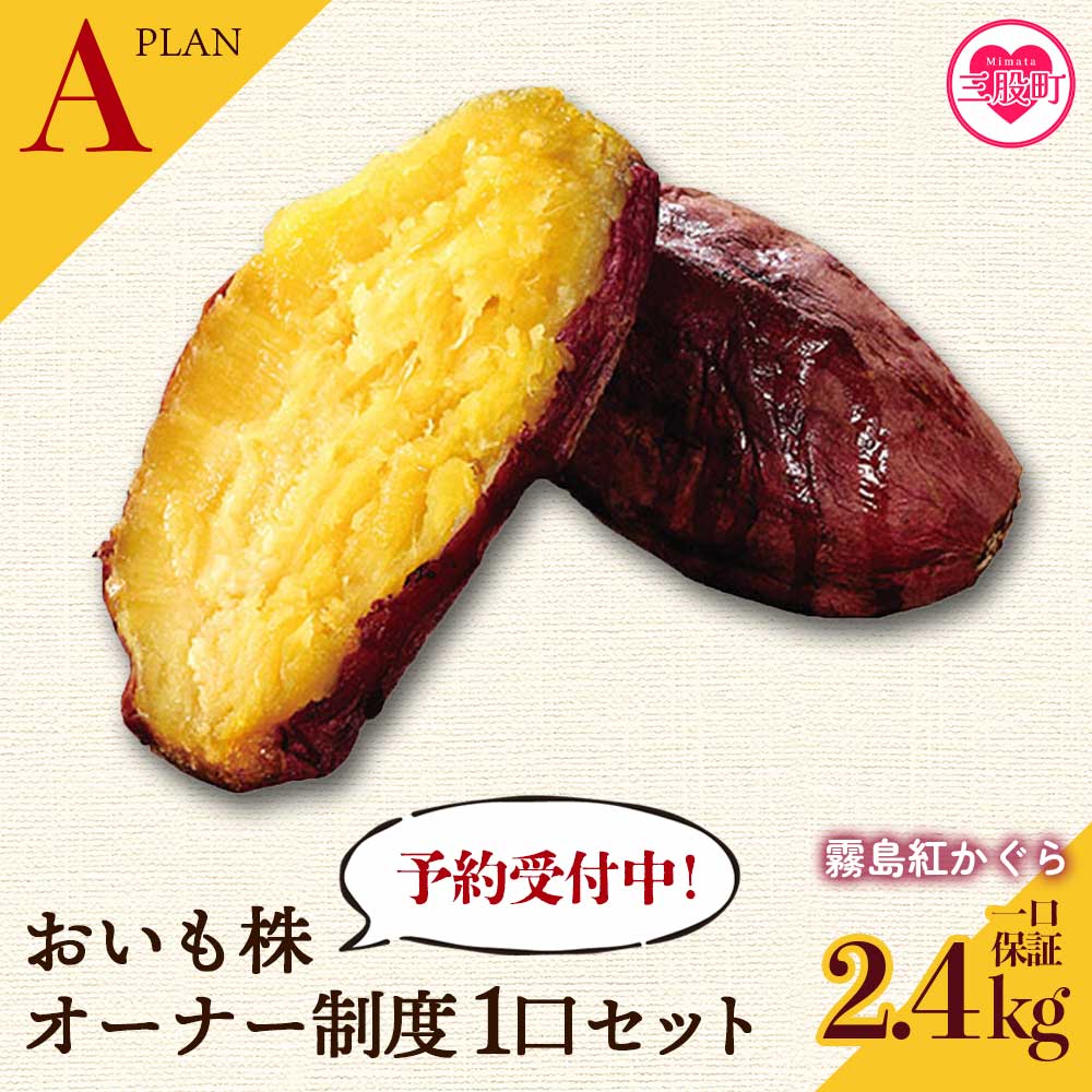 【先行予約】＜【A】おいも株オーナー制度1口セット2株 霧島紅かぐら(最低2.4kg保証)＞2026年12月中旬頃にさつまいもをお届け きりしまべにかぐら サツマイモ 芋 権利書 チケット 体験 苗植会 収穫祭【MI106-sh-s】【株式会社育みの里しろはと】