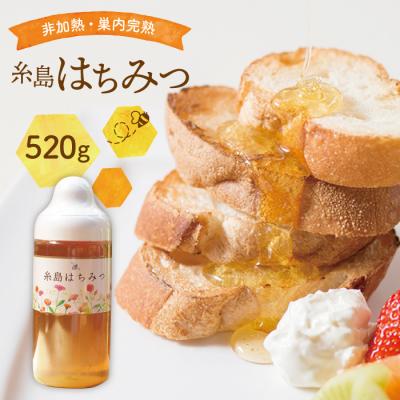 ふるさと納税 糸島市 糸島 はちみつ 520g【ヴァンベールフーズ】百花 / 蜂蜜 [AFJ002]