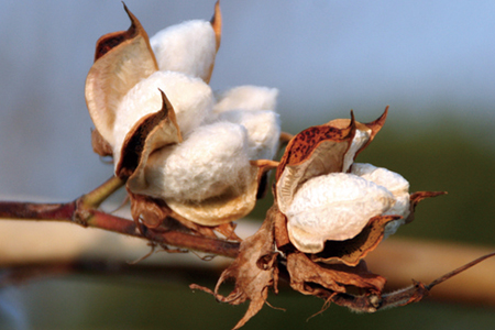 ザ・ラストタオル バス2枚セット 60×120cm【チャコール】[4213]