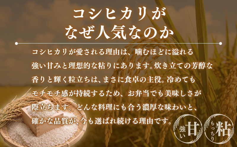 【コシヒカリ 5kg】 【2026年9月以降発送】 米 お米 こしひかり 【令和8年度産】 新米 こめ コメ おこめ okome kome 国産 精米 白米 肉 にあう 魚 にあう おむすび おにぎり