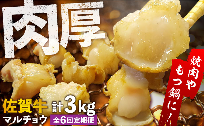 
【全6回定期便】 【脂が甘くてぷりっぷり！】佐賀牛ホルモン 焼肉用 小腸 計3kg（250g/袋）味付けなし 吉野ヶ里町/やきとり紋次郎 [FCJ092]
