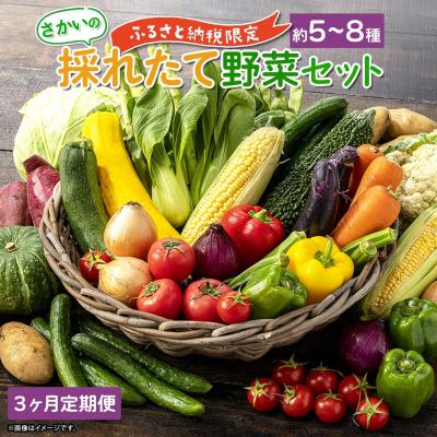 ふるさと納税 境町 【定期便/3ヶ月連続お届け】さかいの採れたて 野菜セット(5〜8種) 道の駅さかい 産地直送 新鮮