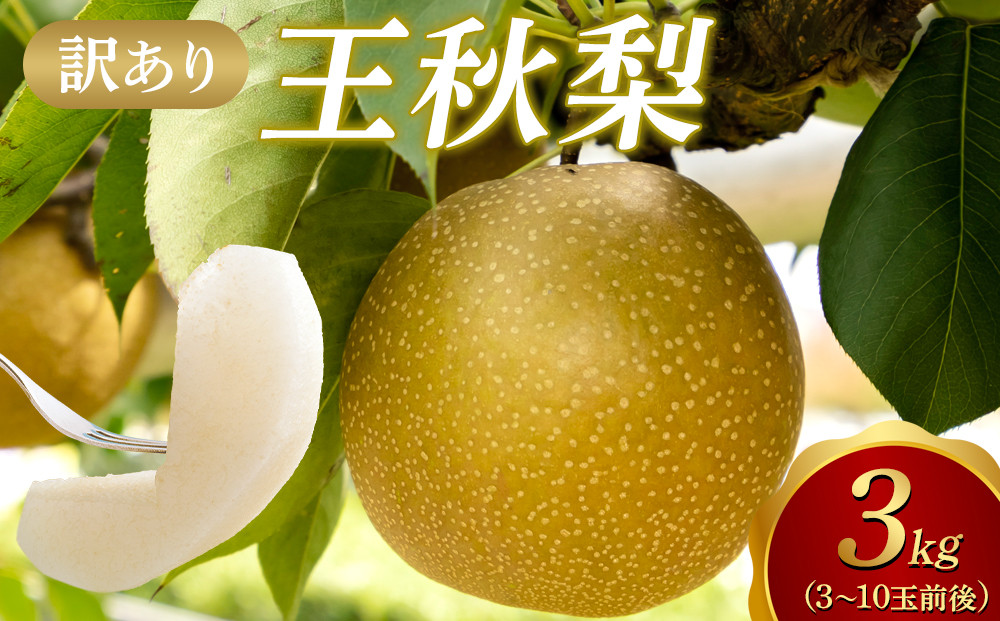 【2026年1月頃発送】【訳あり】王秋梨 3kg（３～10玉前後） 313726_AN130
