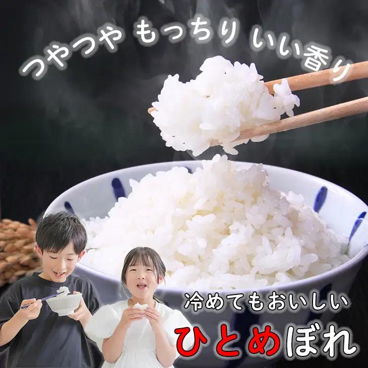令和7年産 花巻産 ひとめぼれ 10㎏（5kg×2袋）【2225】
