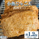 【ふるさと納税】＜小魚じゃこ天 20枚セット 合計約1.2kg（5枚入り×4袋）＞ じゃこてん てんぷら 練り物 練り製品 かまぼこ おかず 惣菜 珍味 特産品 愛媛県 西予市【冷蔵】『1か月以内に順次出荷予定』