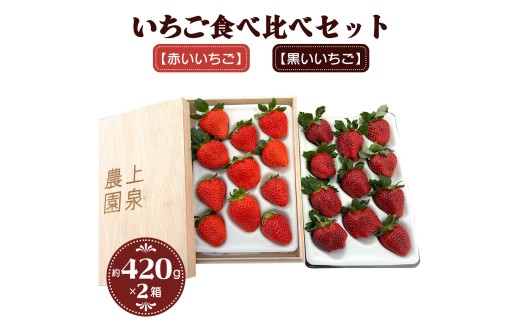 [予約受付] いちご食べ比べセット《黒いいちご》と《赤いいちご》｜イチゴ 苺 果物 フルーツ [0633]