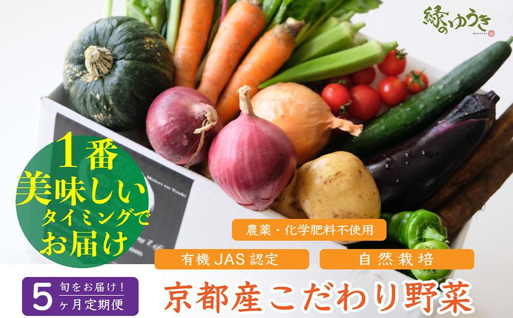 
            ＜5か月定期便＞【緑のゆうき】購入された野菜の売上の1％が、社会貢献に 京都産のこだわり野菜（有機野菜、栽培期間中農薬・化学肥料不使用など）を 美味しいタイミングで収穫したセット
          