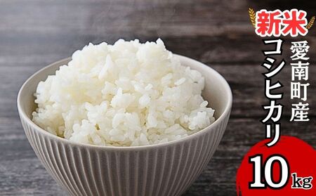 【新米】 令和7年産 コシヒカリ 10kg 新米 愛媛県 愛南町 青果市場