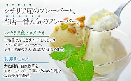 【数量限定】アイス シチリア産ピスタチオ 朝搾り ミルク 500ml×2種 ジェラート