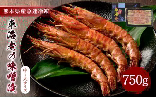 車海老 海老 味噌漬け 計750g （250g×3） 冷凍 小分け 急速冷凍 車海老の味噌漬（中～大サイズ）計750g（250g×3）