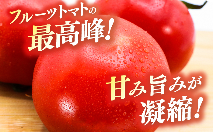 濃厚!徳谷トマト約2.0kg 箱詰 生産者指定なし 厳選上級品 元木青果 ＜2025年1月下旬以降発送＞ 【グレイジア株式会社】 [ATAC323]