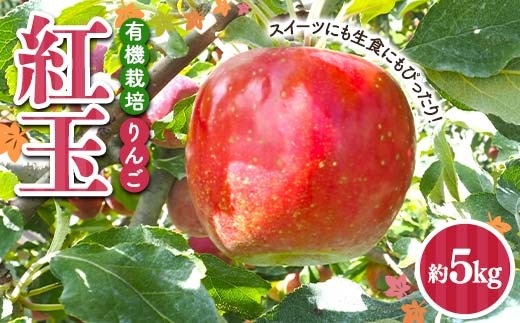 
                  ≪先行予約≫ 有機栽培 りんご 紅玉 約5kg 【和楽堂りんご養生農苑】 青森りんご リンゴ 林檎 アップル あおもり 青森 青森県 南部町 三戸 南部 果物 くだもの フルーツ オーガニック おすすめ F21U-594
                