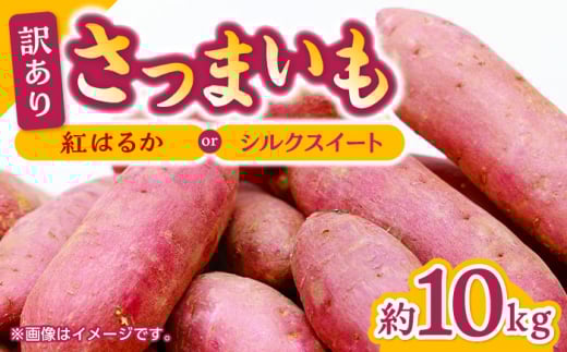 【数量限定】訳あり さつまいも 紅はるか or シルクスイート 蜜芋 10kg サツマイモ 濃厚 甘味 熊本県 特産品 熟成 訳アリ わけあり 【合同会社 福福堂】[ZCN001]