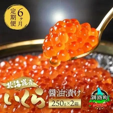 【毎月定期便】いくら醤油漬け 250g×2箱 [北海道産の鮭卵]全6回【配送不可地域：離島】【4082967】