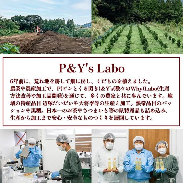 【A83009】辺塚だいだい(生果汁・希釈用) ジュース セット 鹿児島 国産 フルーツ 果物 果実 果汁 ドリンク ストレートジュース 飲み比べ 辺塚だいだい みかん 蜜柑 ギフト 【農地所有適格法