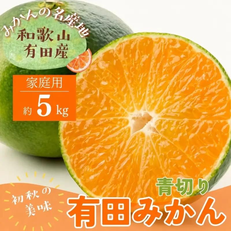 【先行予約】【2026年9月中旬～10月上旬頃に順次発送予定】【初秋の美味】【農家直送】ご家庭用青切り有田みかん　5kg +200g(傷み補償分)【ard045C】