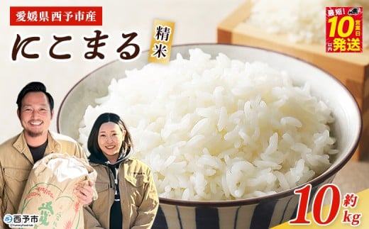 ＜令和7年産 西予市産 にこまる 精米 約10kg＞ ニコマル お米 米 コメ こめ 白米 国産米 単一原料米 ご飯 10キロ お弁当 おにぎり 特産品 愛媛県産 株式会社宇都宮米穀 愛媛県 西予市【常温】『最短10営業日以内に順次出荷予定』