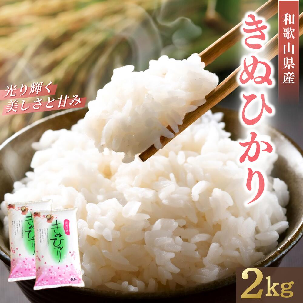 【ふるさと納税】 お米 令和7年産 キヌヒカリ (2025年産) 2kg 産地直送 ※9月中旬頃より順次発送 / お米 白米 米 こめ 和歌山 ご飯 ヒカリ きぬひかり 予約 予約販売 ライス