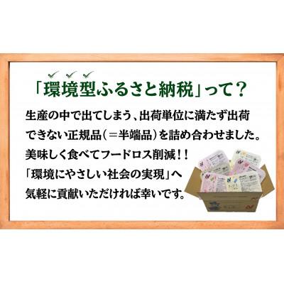 ふるさと納税 豊山町 【ニチレイ】フードロス削減に貢献!!　人気のおかずシリーズ6食セット |  | 01