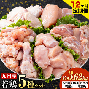 【12ヶ月定期便】 九州産若鶏もも肉 むね肉 ささみ 手羽先 手羽元 セット 計3.62kg 鶏肉 お肉 モモ肉 ムネ肉 5種類 詰め合わせ 小分け 冷凍 九州産 国産 熊本県 菊池市 送料無料《お申込み翌月から出荷》
