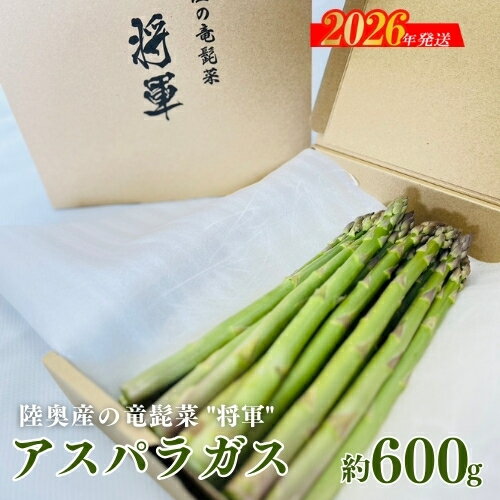 【ふるさと納税】No.3249 陸奥産の竜髭菜（アスパラガス）"将軍" 約600g【2026年発送 先行予約】