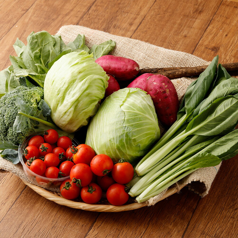 【ふるさと納税】くまもと旬の野菜セット 6～7種類 キャベツ ブロッコリー カリフラワー ミニトマト 塩トマト 唐芋（紅はるか） ほうれん草 小松菜 レタス ごぼう 野菜 詰め合わせ セット 新鮮 九州 熊本県 冷蔵 送料無料 【2026年1月上旬発送開始】