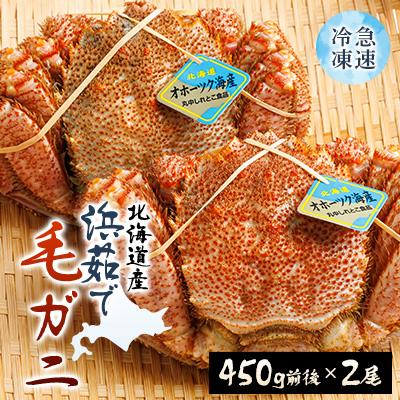 ふるさと納税 斜里町 北海道産　浜茹で毛ガニ　450g前後×2尾