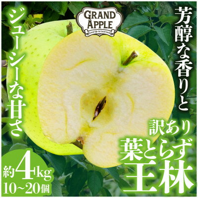 【ふるさと納税】「王林」訳あり約4kg【配送不可地域：離島・沖縄県】【1442055】