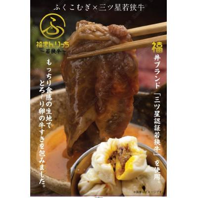 ふるさと納税 鯖江市 三ツ星若狭牛入り!福井の肉まん「福まん&福まんりっち」計20個入りセット |  | 01