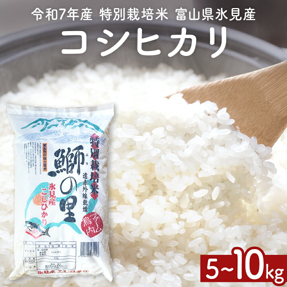 【ふるさと納税】【先行受付】令和7年産 特別栽培米 富山県産コシヒカリ 5kg 10kg ＜2025年9月中旬以降順次発送＞