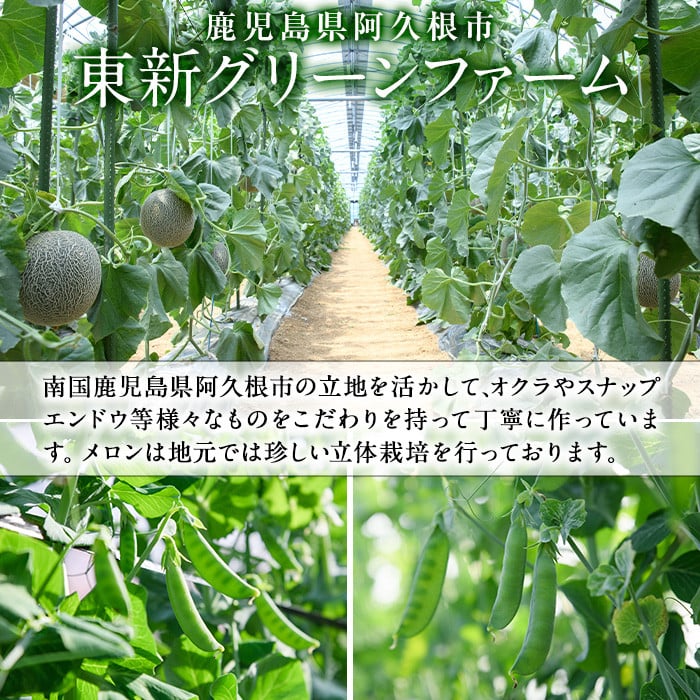 東新グリーンファームについてご紹介