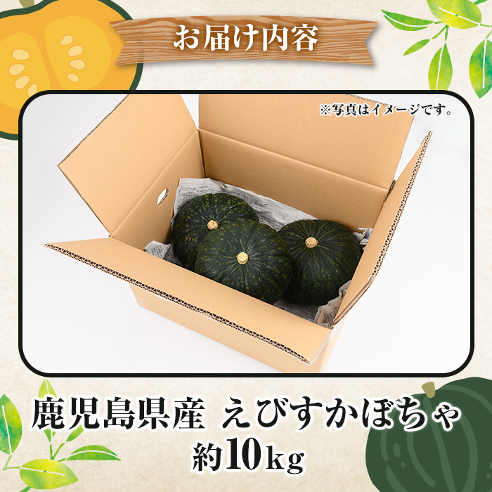 ＜2025年5月以降発送予定＞鹿児島県産 えびすかぼちゃ(約10kg) 国産 野菜 かぼちゃ カボチャ 南瓜 煮物 天ぷら バーベキュー BBQ スイーツ お菓子【松永青果】a-24-40