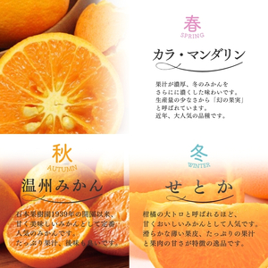 【全3回】 柑橘 定期便 石本果樹園 旬の柑橘をお届け！ / フルーツ 果物 くだもの 柑橘 フルーツ定期便 くだもの定期便 定期便 みかん ミカン 温州みかん せとか カラマンダリン 産地直送 旬 