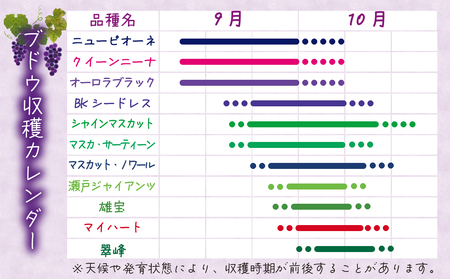 【2616-0469】岡山 花笑み農園『ぶどうの宝石箱』3種以上(18粒入り)3M-宝18