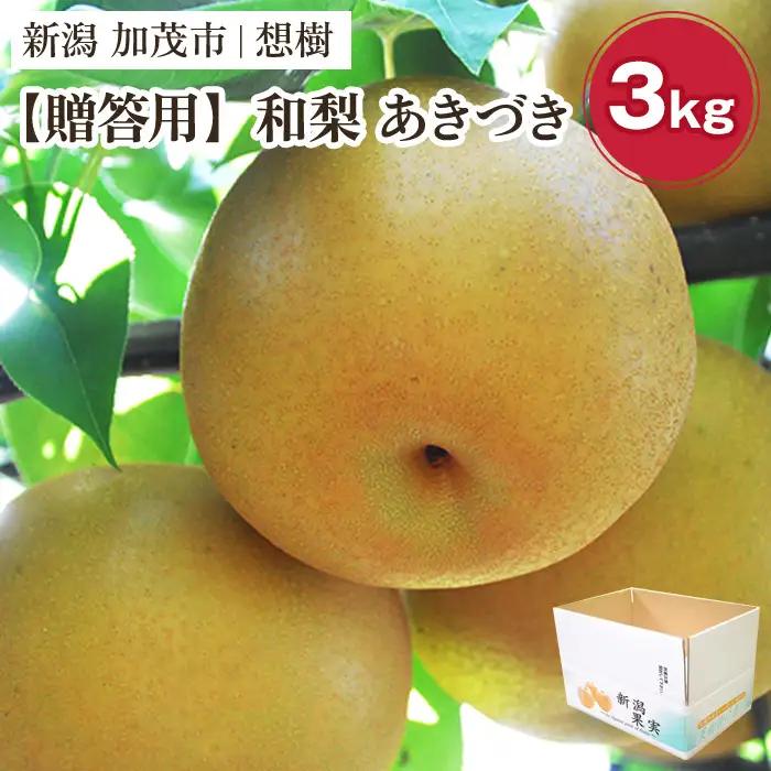 【2026年先行予約】【贈答用】新潟県産和梨 あきづき 約3kg（4～9玉）《9月中旬～順次出荷》 梨 あきづき