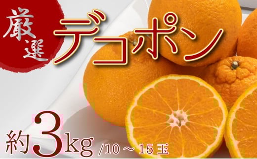 厳選！ぷりっぷり果肉♪濃厚甘味「デコポン」　約3kg
