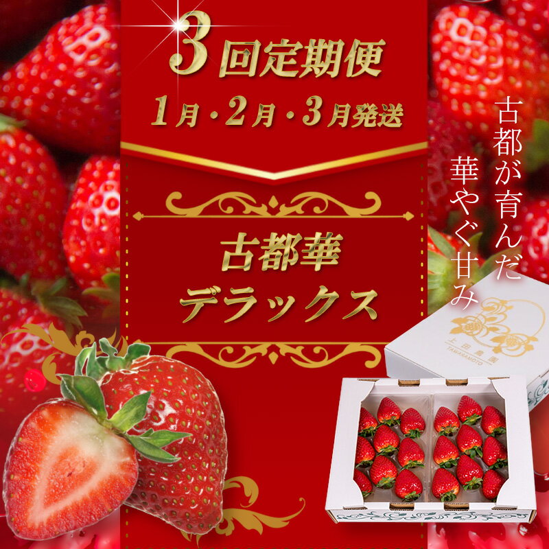【ふるさと納税】（冷蔵）【定期便全3回】（1月・2月・3月）イチゴ 奈良県産高級ブランド品種「古都華」デラックス（270g×2パック） ／ 上田農園 苺 いちご 果物 フルーツ 甘い 奈良県 田原本町