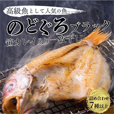 ふるさと納税 京丹後市 のどくろ、笹カレイ入り　一夜干し詰め合わせ　ブラック
