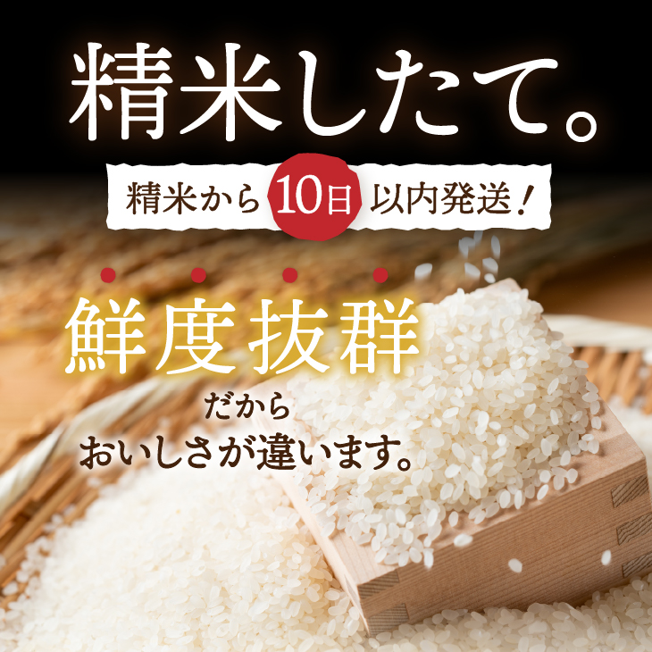 3人に1人がリピーター!☆全6回定期便☆ 岩手ふるさと米 10kg(5㎏×2)×6ヶ月 令和7年産 一等米ひとめぼれ 東北有数のお米の産地 岩手県奥州市産【配送時期に関する変更不可】 [U0165]