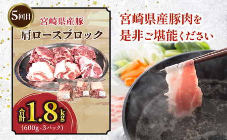 豚肉定期便　5ヶ月