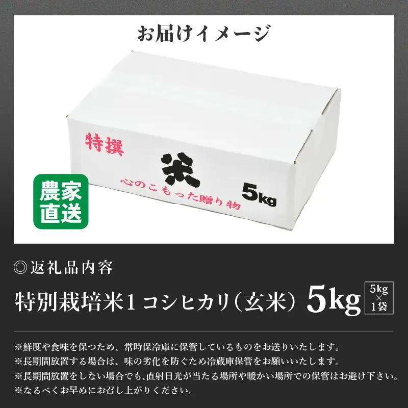 【先行予約】【令和8年産 新米】コシヒカリ 玄米 5kg 特別栽培米 農薬不使用 化学肥料不使用 ／ 残留農薬ゼロ 高品質 鮮度抜群 福井県産 ブランド米 ※2026年9月下旬より順次発送予定 [aw