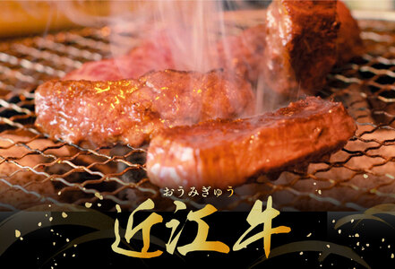 【PRキャンペーン対象】近江牛 カルビ 焼肉 500g 【BS02W】 近江牛 牛肉