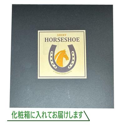 ふるさと納税 府中市 FUCHU　LUCKY　HORSESHOE(蹄鉄) |  | 03