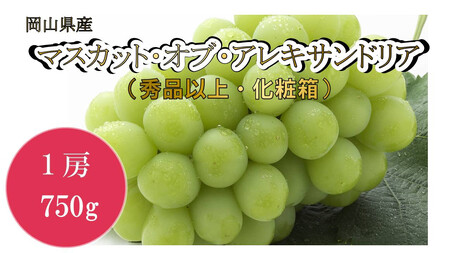 岡山県産　マスカット・オブ・アレキサンドリア（秀品以上・化粧箱入り）１房（７５０ｇ）（ハックルベリーフィン）