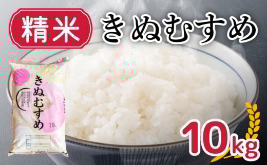 きぬむすめ 10kg 精米 大容量 米 お届け回数1回 お米 1回お届け 白米 直前精米 精米したて 豊田町 下関 山口 【 10月以降発送  】