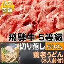 【ふるさと納税】飛騨牛 5等級　切り落し　500g　養老うどん付(3人前)【配送不可地域：離島】【1416455】